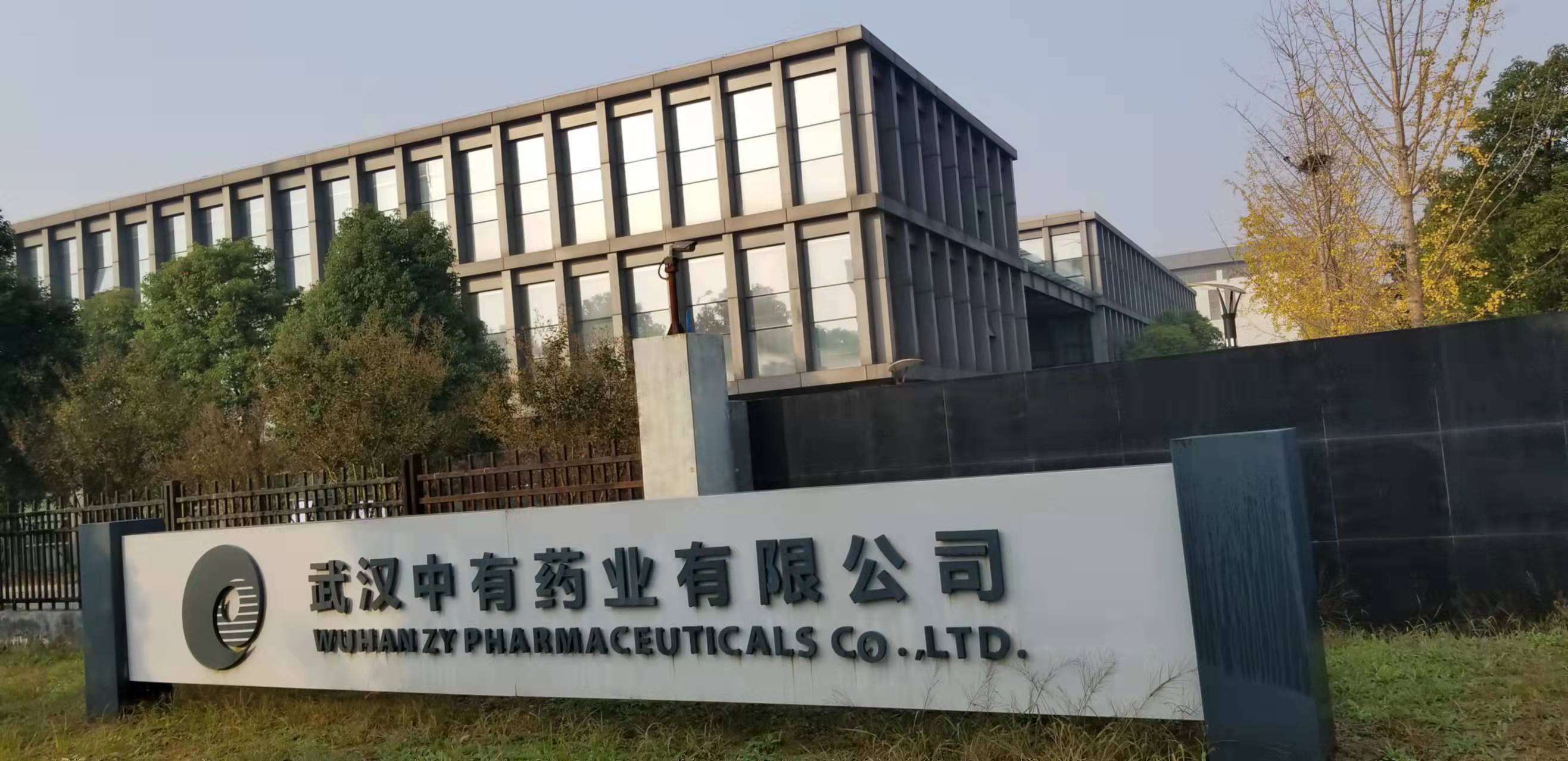 武漢中有藥業有限公司
